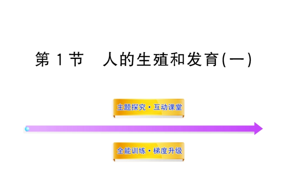 八年级生物上册 第十九章 第一节 人的生殖和发育（一）课件 北师大版
