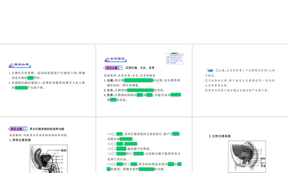 八年级生物上册 第十九章 第一节 人的生殖和发育（一）课件 北师大版