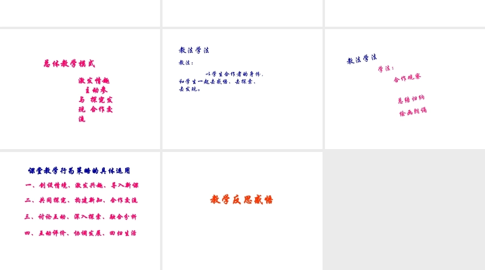 八年级生物上册《动物的运动》课件 苏教版