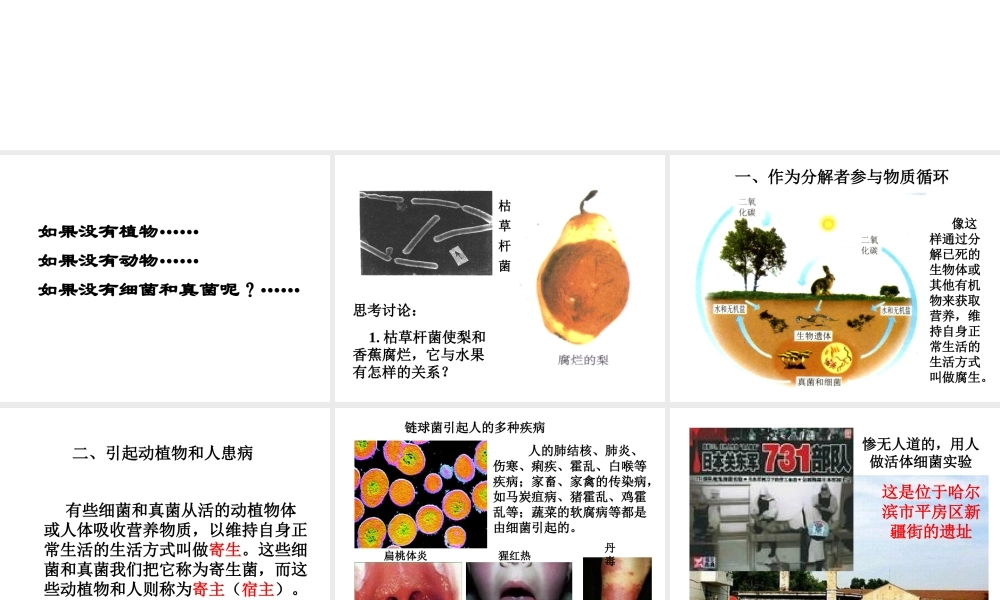 八年级生物上册 第五单元 第四章 第四节 细菌和真菌在自然界中的作用课件 （新版）新人教版-（新版）新人教版初中八年级上册生物课件