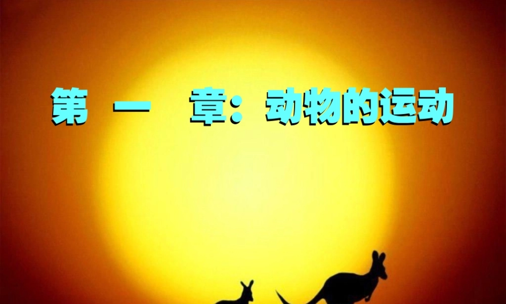 八年级生物上册 第四单元 第一章 第一节 运动的基础课件 冀少版-人教版初中八年级上册生物课件