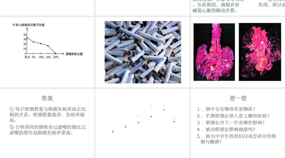 八年级生物上册 第十九章 第一节 远离烟酒课件 苏教版