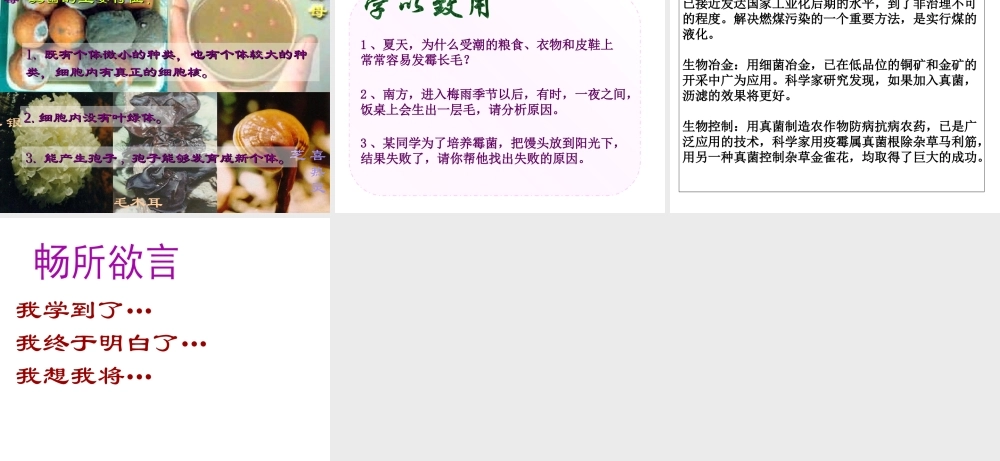 八年级生物上册 第五单元 第四章 第三节 真菌教学课件 （新版）新人教版-（新版）新人教级上册生物课件