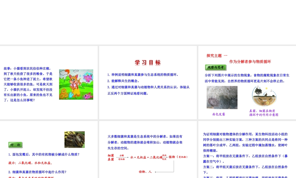 八年级生物上册 第五单元 第四章 第四节 细菌和真菌在自然界中的作用课件 （新版）新人教版