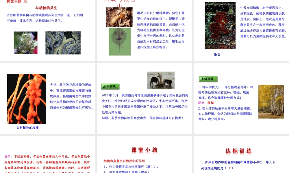 八年级生物上册 第五单元 第四章 第四节 细菌和真菌在自然界中的作用课件 （新版）新人教版