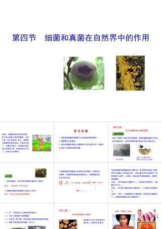 八年级生物上册 第五单元 第四章 第四节 细菌和真菌在自然界中的作用课件 （新版）新人教版