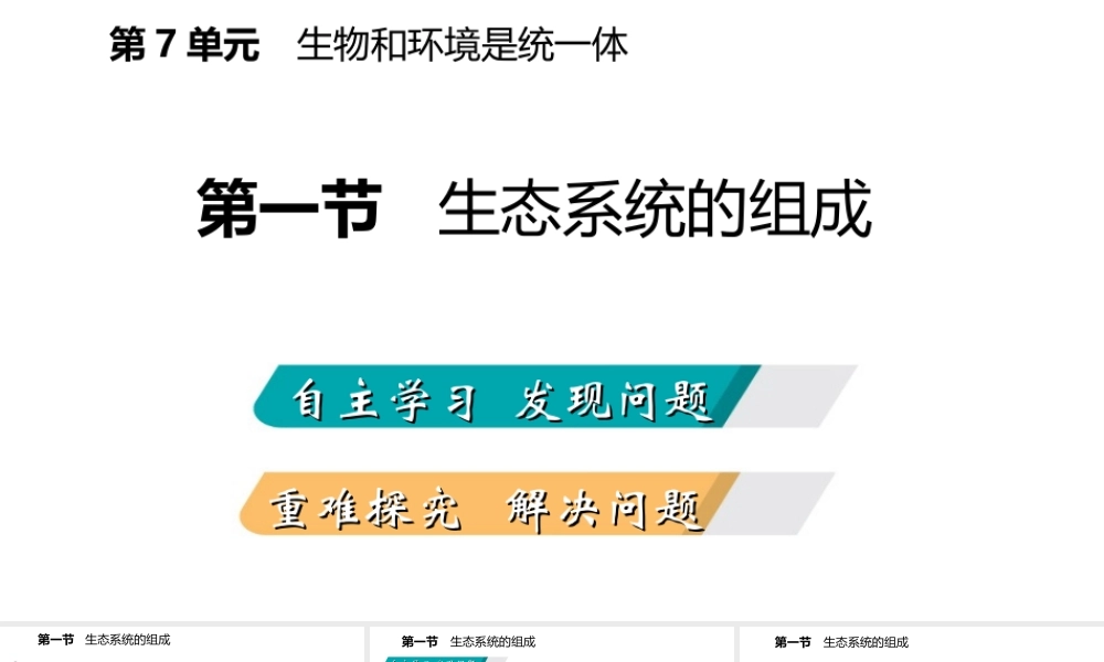 八年级生物上册 第十九章第一节 生态系统的组成课件 （新版）苏教版-（新版）苏教版初中八年级上册生物课件