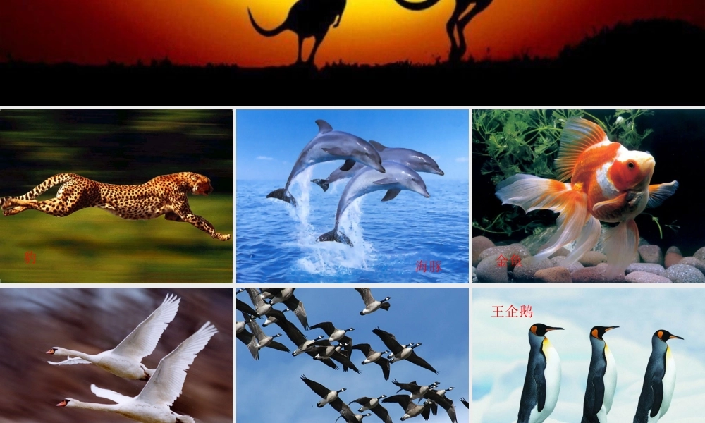 八年级生物上册 第四单元 第一章 第一节 运动的基础课件 冀少版-人教级上册生物课件