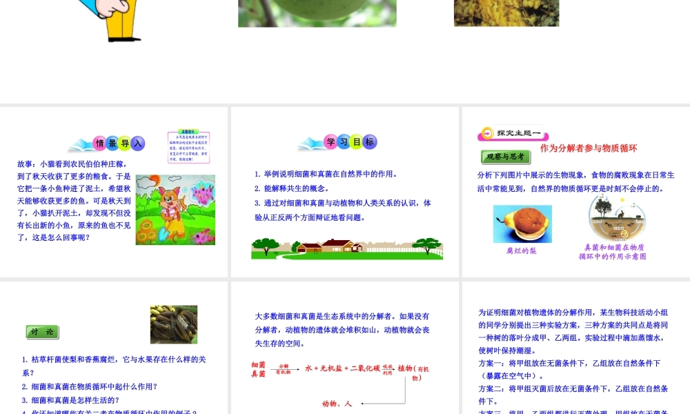 八年级生物上册 第五单元 第四章 第四节 细菌和真菌在自然界中的作用课件 新人教版