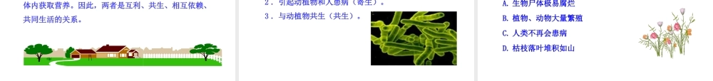 八年级生物上册 第五单元 第四章 第四节 细菌和真菌在自然界中的作用课件 新人教版