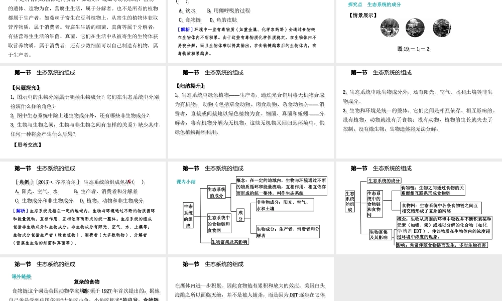 八年级生物上册 第十九章第一节 生态系统的组成课件 （新版）苏教版-（新版）苏教级上册生物课件