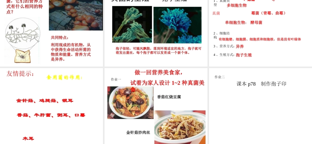 八年级生物上册 第五单元 第四章 第三节 真菌课件 （新版）新人教版-（新版）新人教级上册生物课件