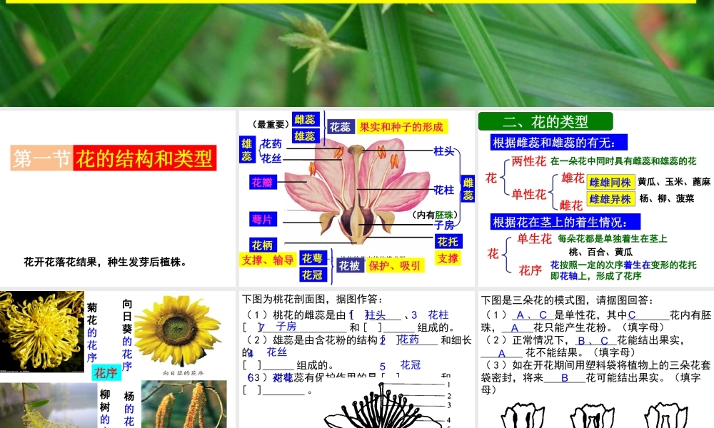 八年级生物上册 第四单元 第一章 绿色开花植物的一生复习课件 （新版）济南版-（新版）济南版初中八年级上册生物课件