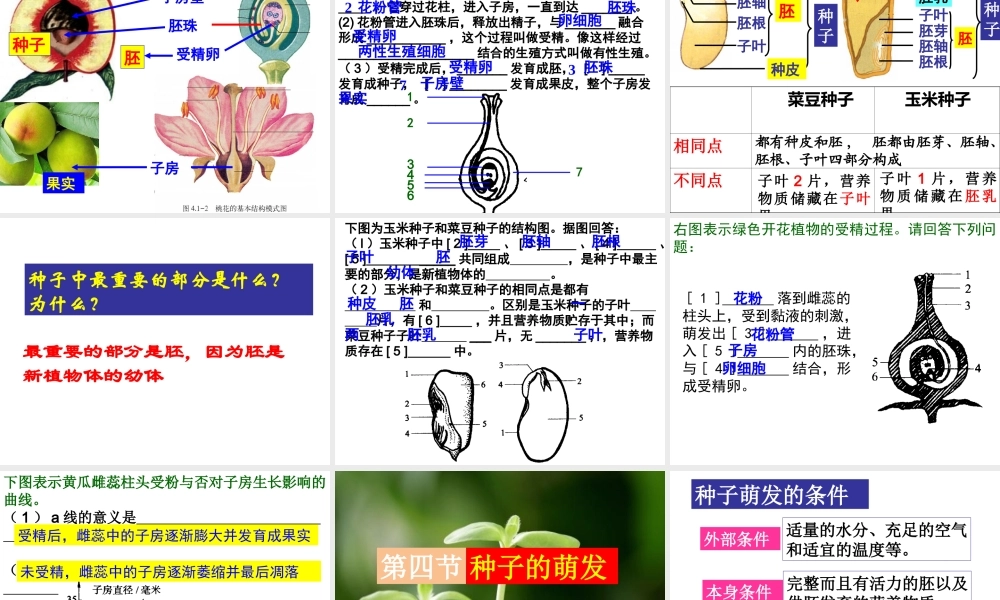 八年级生物上册 第四单元 第一章 绿色开花植物的一生复习课件 （新版）济南版-（新版）济南版初中八年级上册生物课件