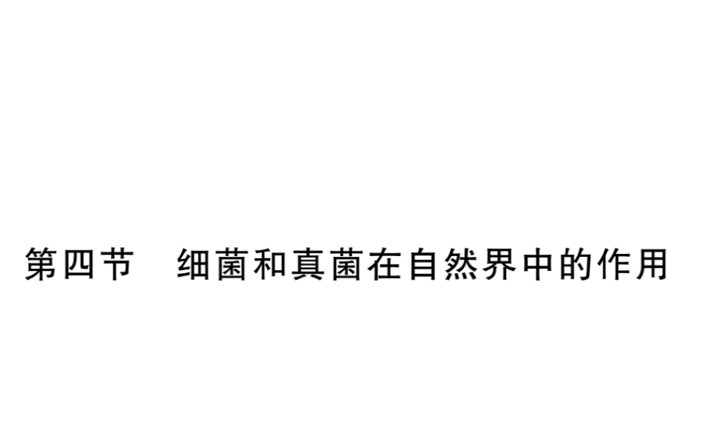八年级生物上册 第五单元 第四章 第四节 细菌和真菌在自然界中的作用习题课件 （新版）新人教版-（新版）新人教版初中八年级上册生物课件