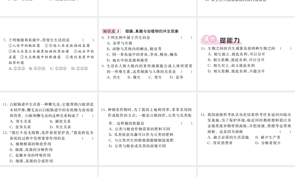八年级生物上册 第五单元 第四章 第四节 细菌和真菌在自然界中的作用习题课件 （新版）新人教版-（新版）新人教版初中八年级上册生物课件