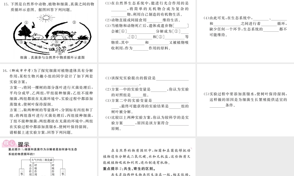 八年级生物上册 第五单元 第四章 第四节 细菌和真菌在自然界中的作用习题课件 （新版）新人教版-（新版）新人教版初中八年级上册生物课件