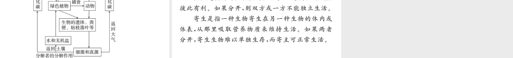 八年级生物上册 第五单元 第四章 第四节 细菌和真菌在自然界中的作用习题课件 （新版）新人教版-（新版）新人教版初中八年级上册生物课件