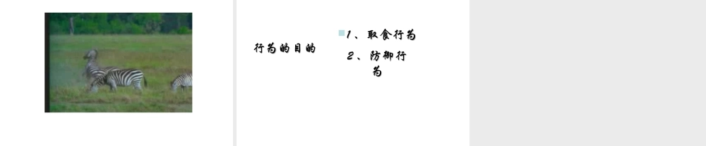 八年级生物上册 第十六章 第二节 动物行为的主要类型课件 北师大版