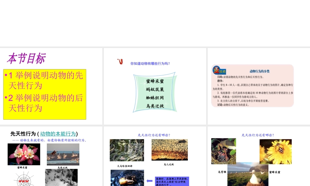 八年级生物上册《动物行为的生理基础》课件2 苏教版