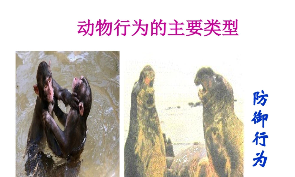 八年级生物上册《动物行为的生理基础》课件3 苏教版