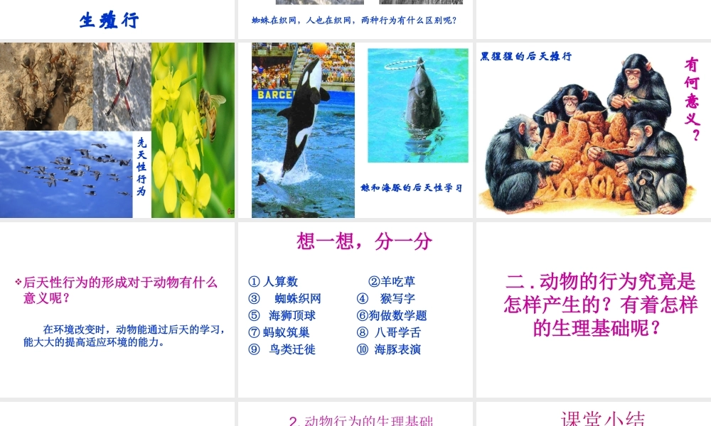 八年级生物上册《动物行为的生理基础》课件3 苏教版