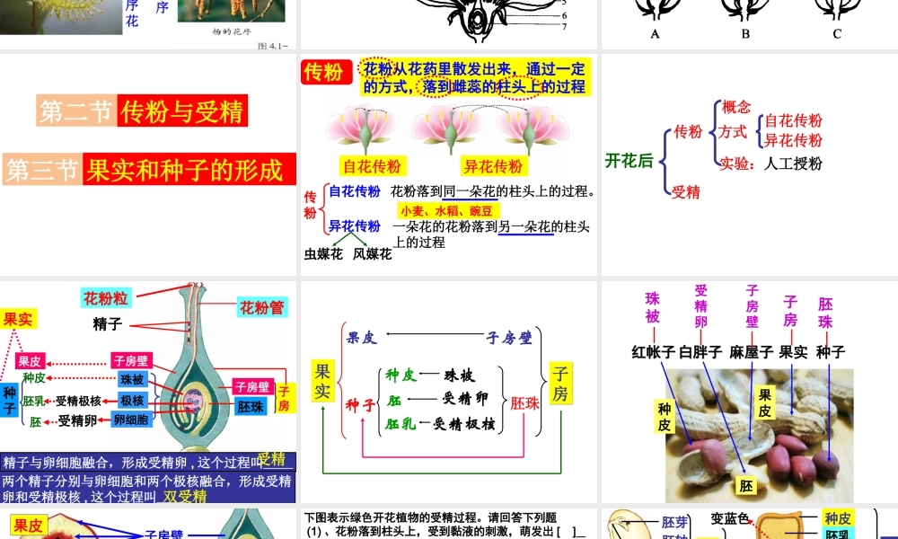 八年级生物上册 第四单元 第一章 绿色开花植物的一生复习课件 （新版）济南版-（新版）济南级上册生物课件