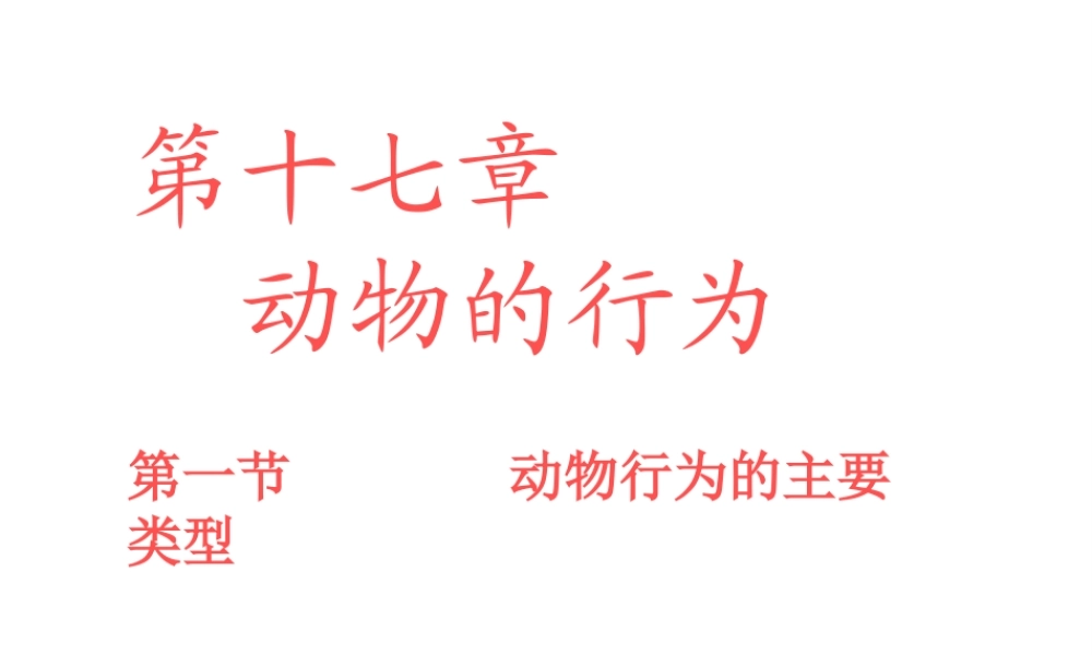 八年级生物上册《动物行为的主要类型》课件 苏教版
