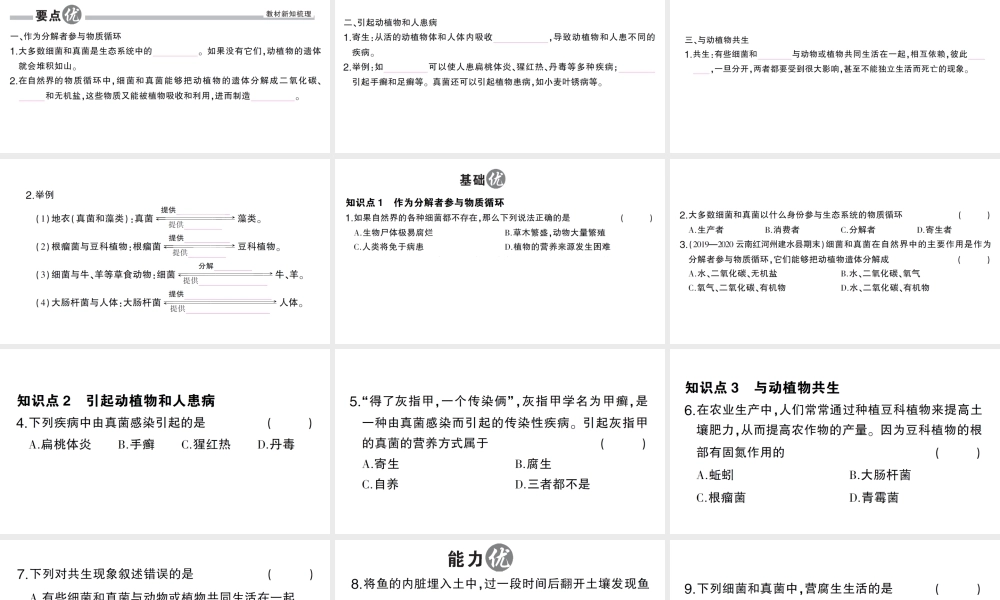八年级生物上册 第五单元 第四章 第四节 细菌和真菌在自然界中的作用作业课件 （新版）新人教版-（新版）新人教版初中八年级上册生物课件