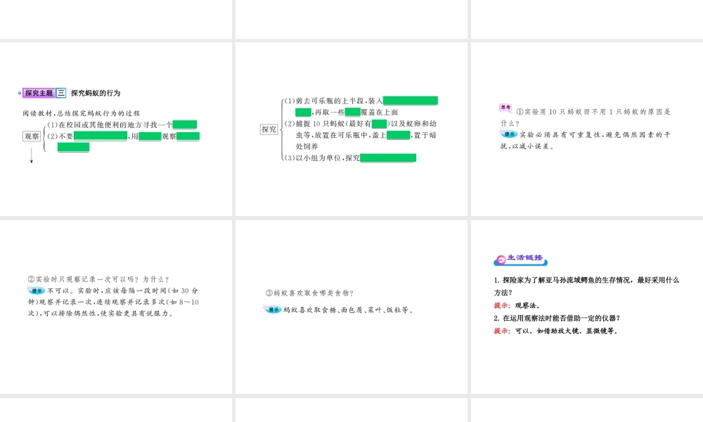 八年级生物上册 第十六章 第三节 动物行为的研究课件 北师大版
