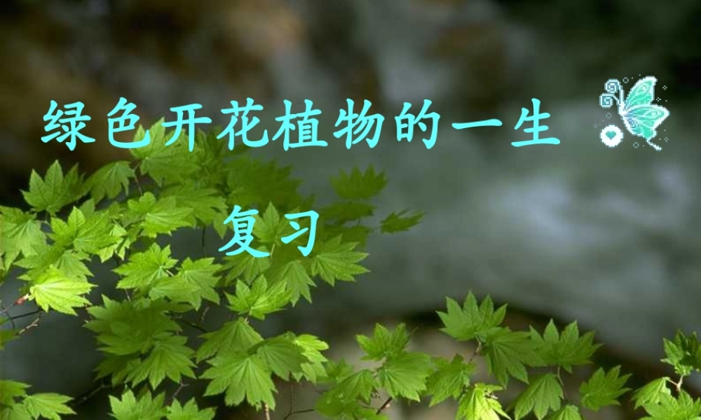 八年级生物上册 第四单元 第一章 绿色开花植物的一生复习课件 济南版-济南版初中八年级上册生物课件