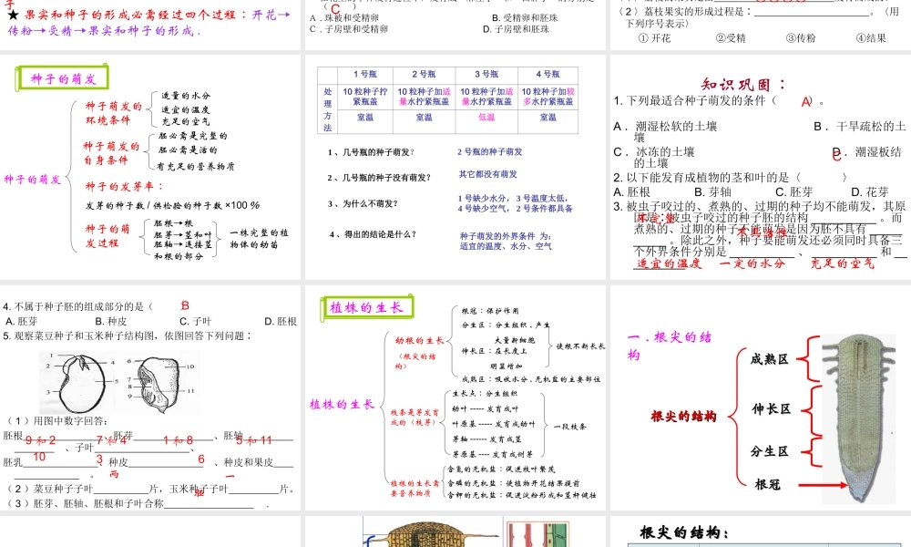 八年级生物上册 第四单元 第一章 绿色开花植物的一生复习课件 济南版-济南版初中八年级上册生物课件