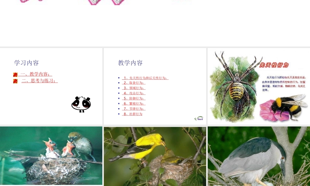 八年级生物上册《动物行为的主要类型》课件1 北师大版