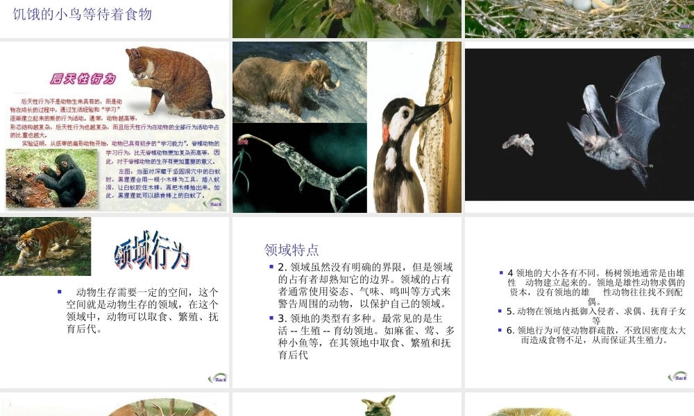 八年级生物上册《动物行为的主要类型》课件1 北师大版