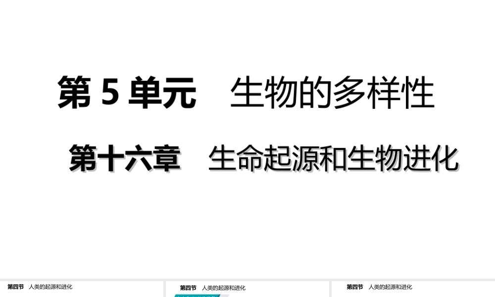 八年级生物上册 第十六章 第四节 人类的起源和进化课件 （新版）苏教版-（新版）苏教级上册生物课件