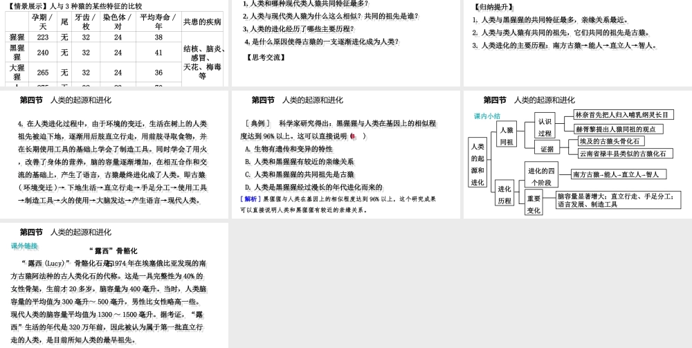 八年级生物上册 第十六章 第四节 人类的起源和进化课件 （新版）苏教版-（新版）苏教级上册生物课件