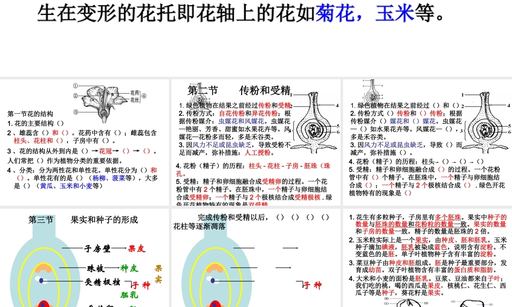 八年级生物上册 第四单元 第一章 绿色开花植物的一生复习课件1 （新版）济南版