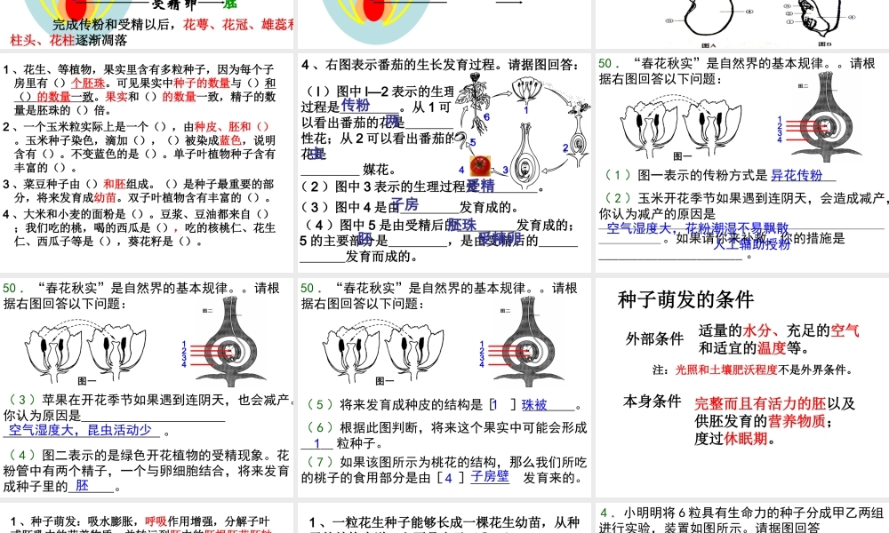 八年级生物上册 第四单元 第一章 绿色开花植物的一生复习课件1 （新版）济南版