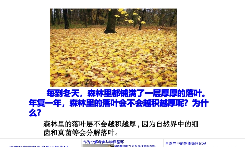 八年级生物上册 第五单元 第四章 第四节《细菌和真菌在自然界中的作用》课件 （新版）新人教版-（新版）新人教级上册生物课件