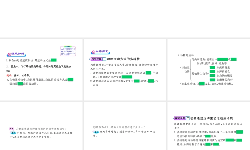 八年级生物上册 第十六章 第一节 动物运动方式的多样性课件 苏教版