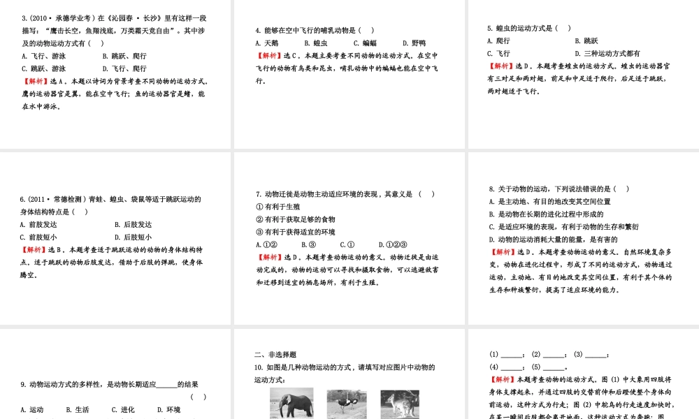 八年级生物上册 第十六章 第一节 动物运动方式的多样性课件 苏教版