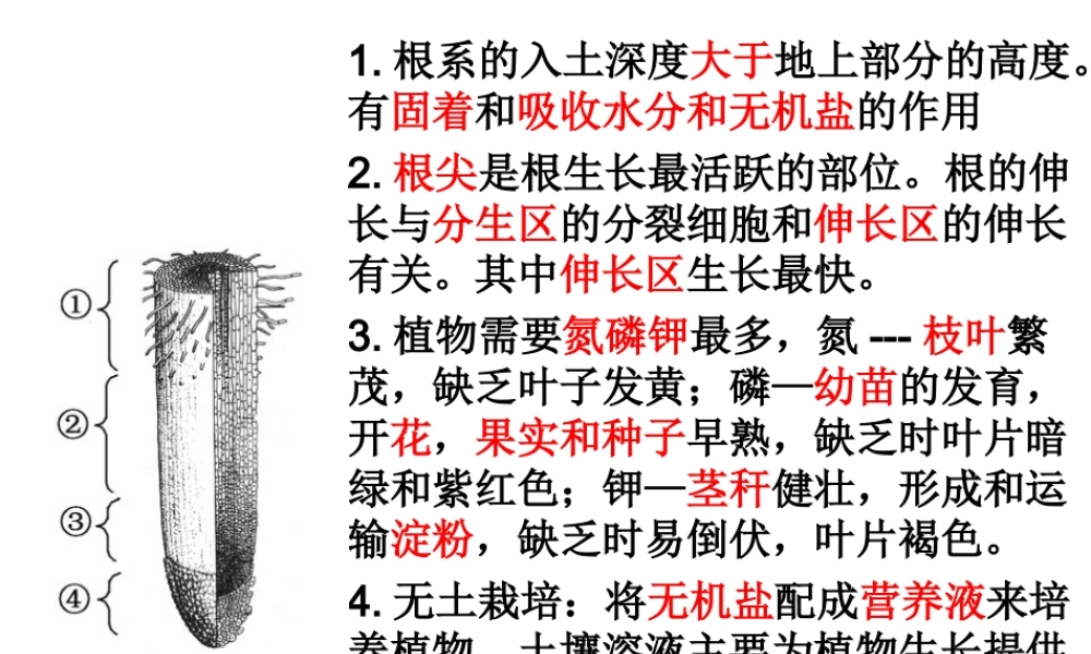 八年级生物上册 第四单元 第一章 绿色开花植物的一生复习课件2 （新版）济南版