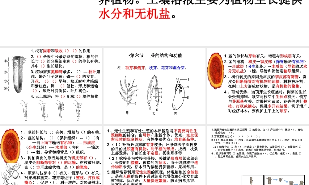 八年级生物上册 第四单元 第一章 绿色开花植物的一生复习课件2 （新版）济南版