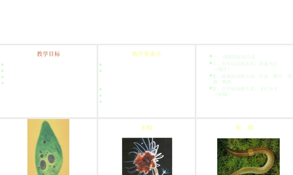 八年级生物上册《动物运动的方式》课件2 北师大版