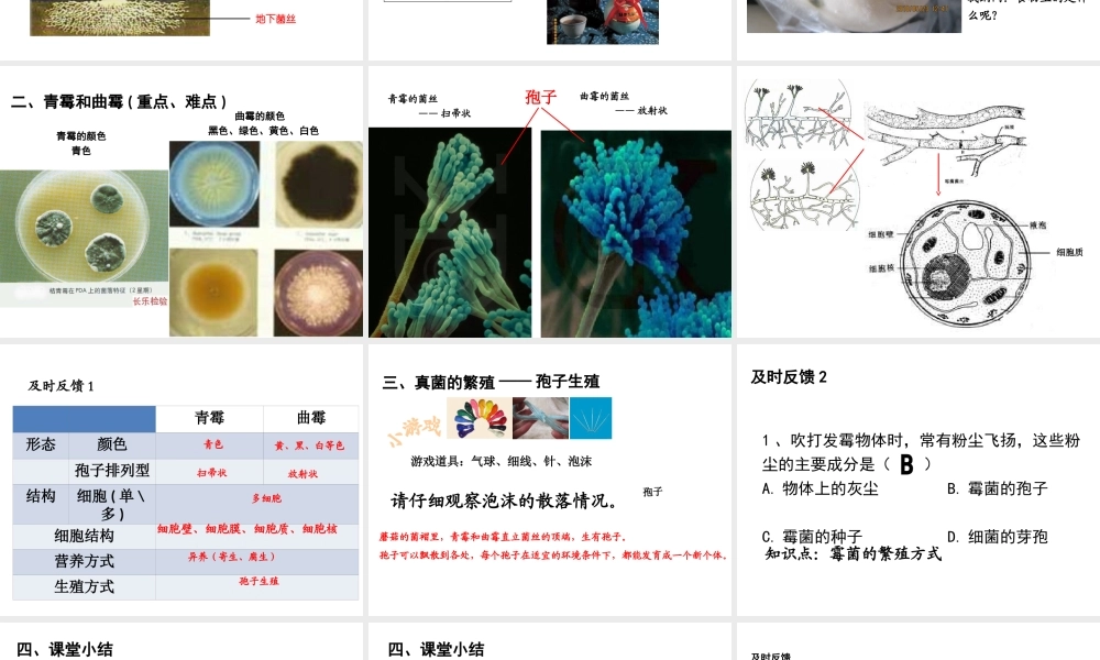 八年级生物上册 第五单元 第四章 第三节 真菌课件（2）（新版）新人教版-（新版）新人教级上册生物课件