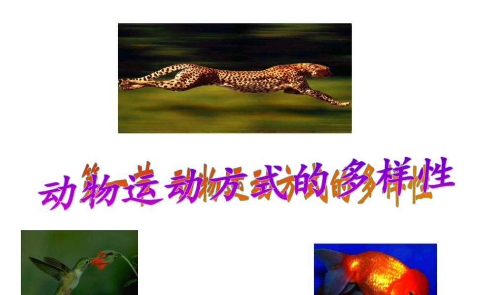八年级生物上册 第十六章 第一节 动物运动方式的多样性课件2 苏教版