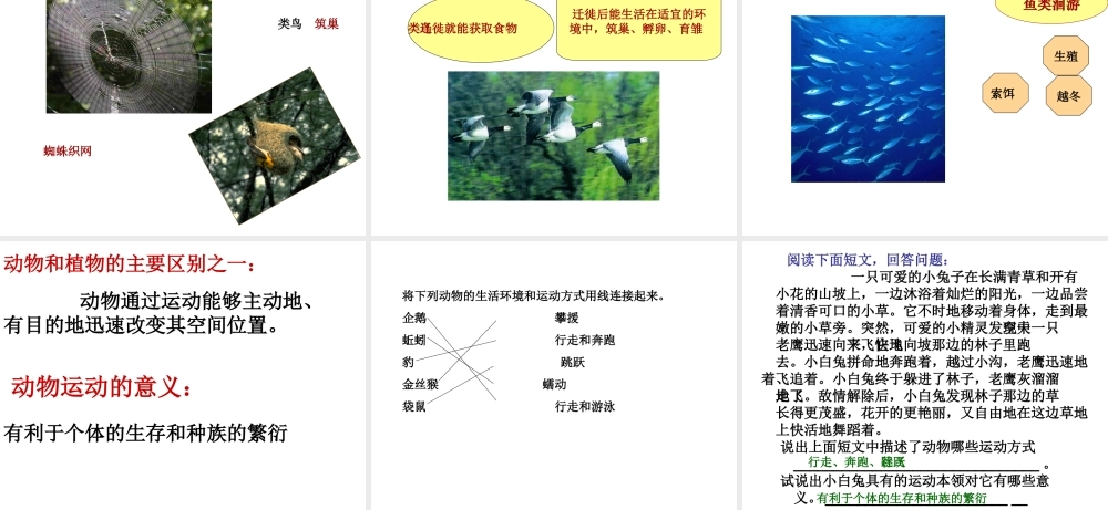 八年级生物上册 第十六章 第一节 动物运动方式的多样性课件2 苏教版