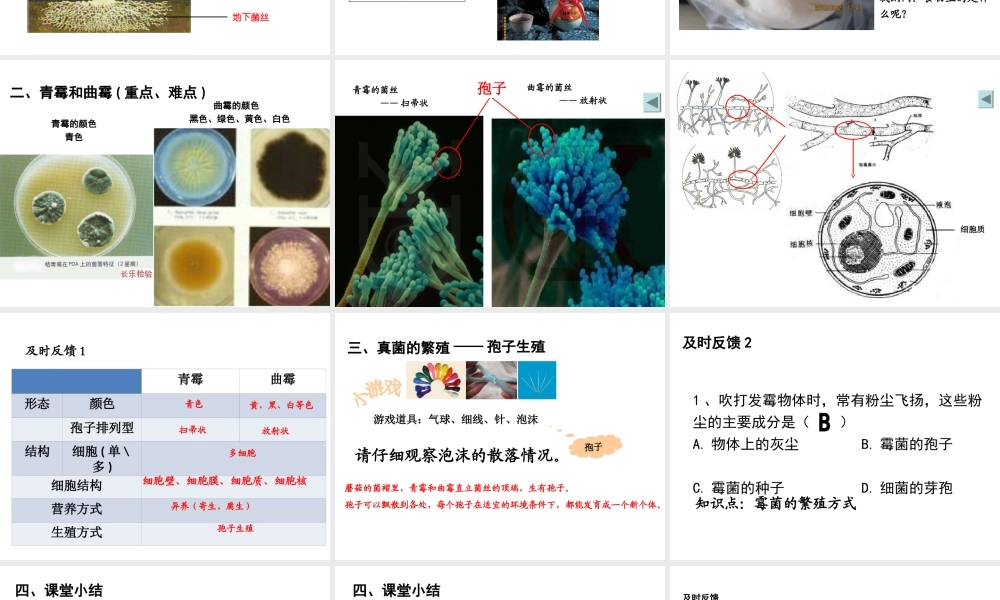 八年级生物上册 第五单元 第四章 第三节 真菌课件2 （新版）新人教版-（新版）新人教版初中八年级上册生物课件