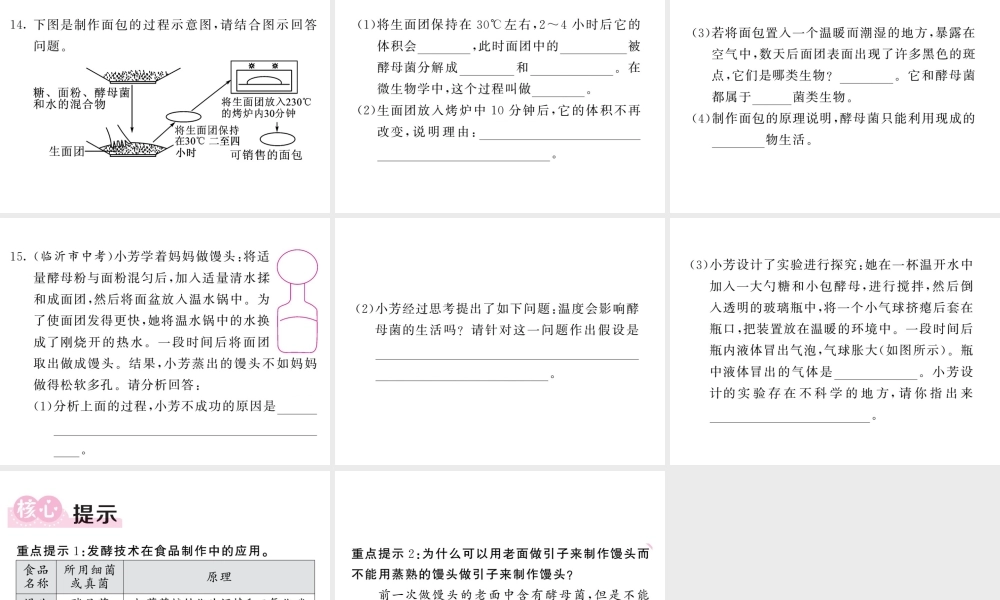 八年级生物上册 第五单元 第四章 第五节 人类对细菌和真菌的利用（第1课时 发酵及食品的制作）习题课件 （新版）新人教版-（新版）新人教级上册生物课件