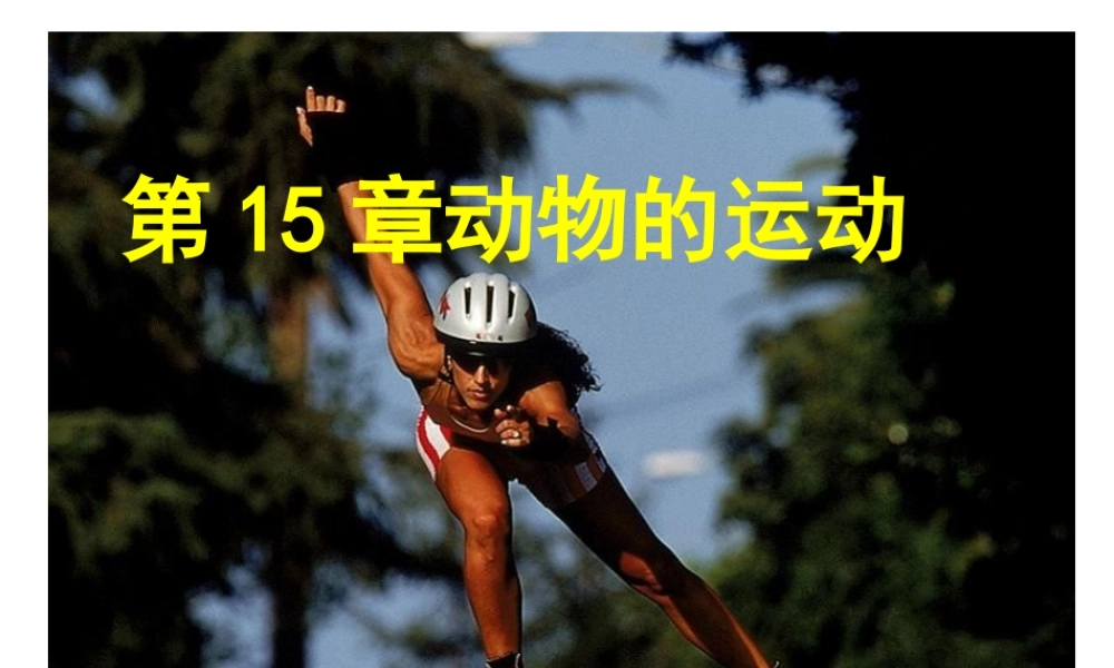 八年级生物上册《动物运动的形成》课件 北师大版